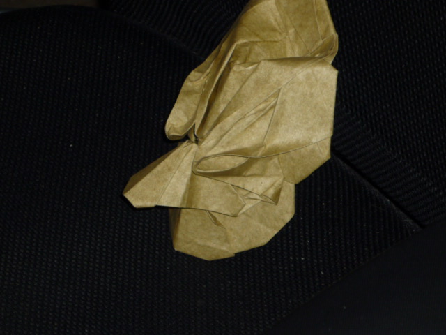 Masque Fuse
Elephant wet folding
