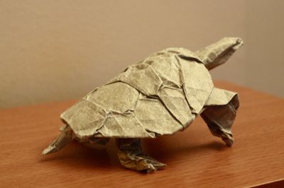 Western Pond Turtle de Robert J. Lang
Carré de papier de soie métallisé 30 cm
