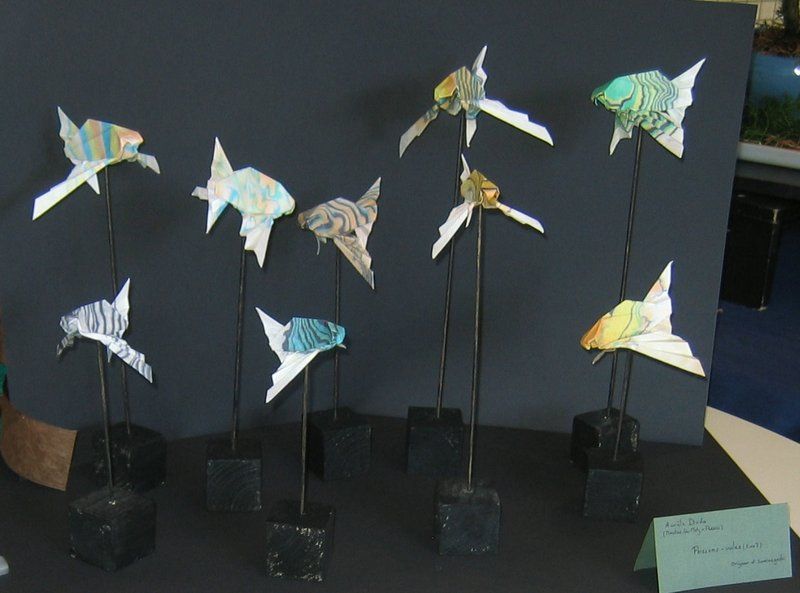 aurele_poissons_voiles.jpg