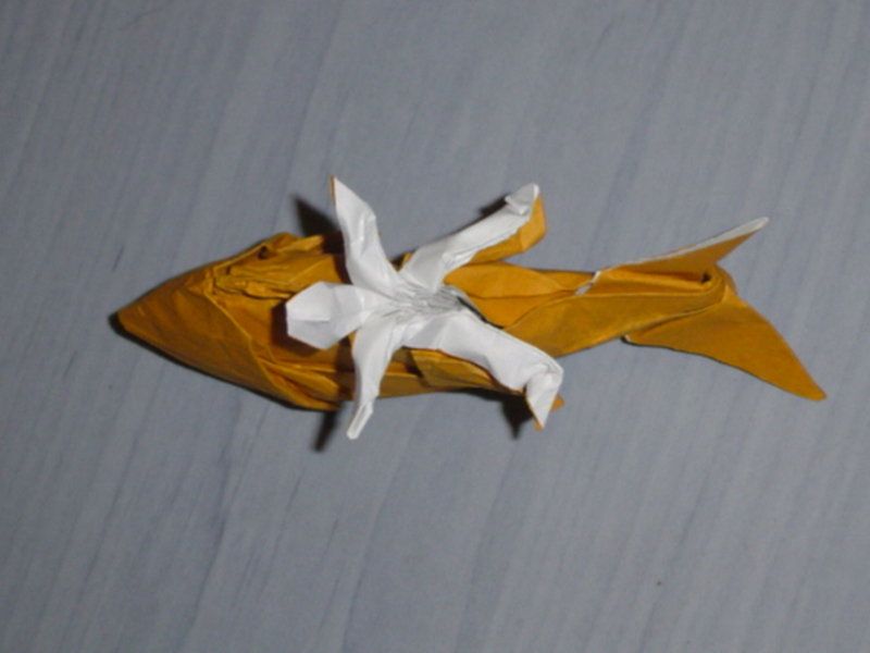 bobbob_DSC02840.jpg