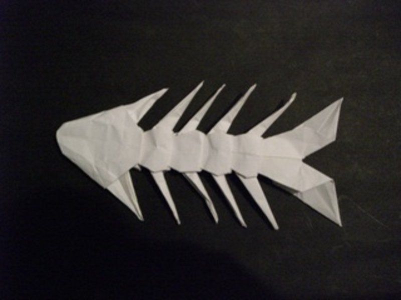 dendrobate_poissongrueqv0.jpg