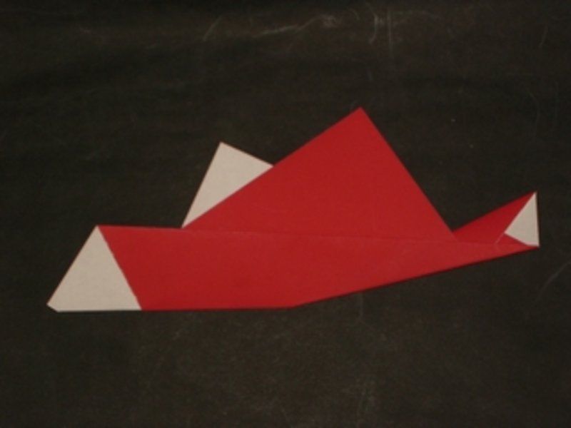 dendrobate_poissonmimimal1om2.jpg