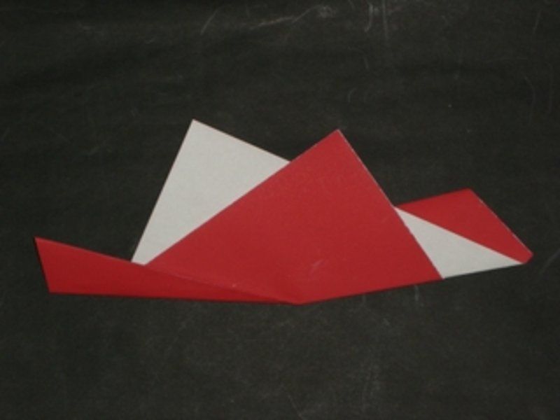 dendrobate_poissonminimal2kc5.jpg