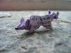 Nom du fichier=tuan_chat_rat.jpg
Taille du fichier=156Ko
Dimensions : 800x600
Ajouté le : 28 Février 2008 tuan_chat_rat.jpg