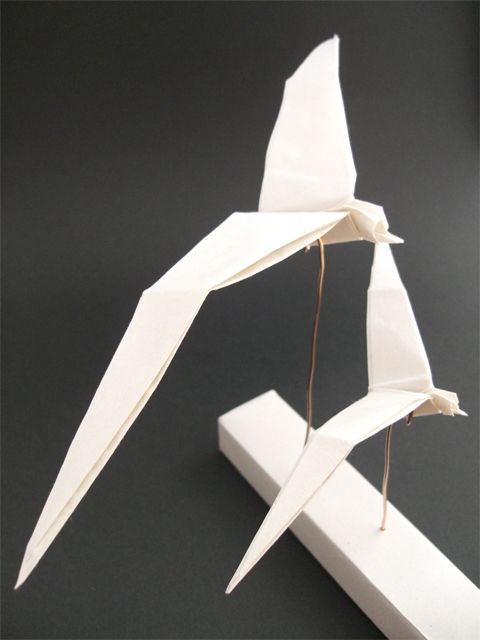 eikichi_oiseau_blanc_001_b.jpg