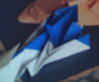 Flanc1.jpg