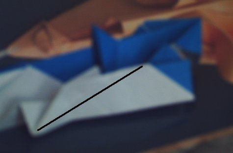 Flanc2.jpg
