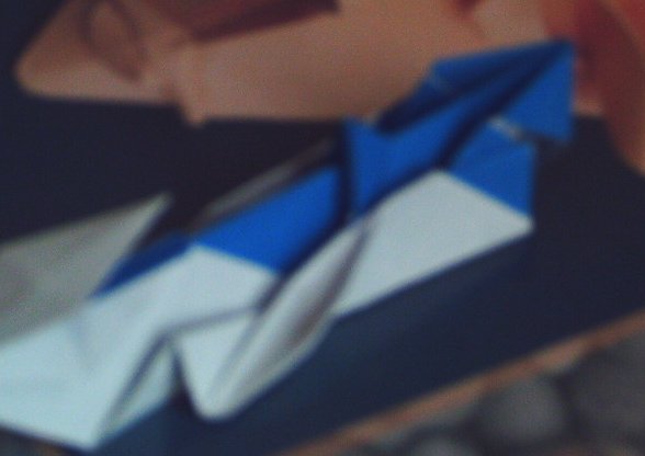 Flanc3.jpg