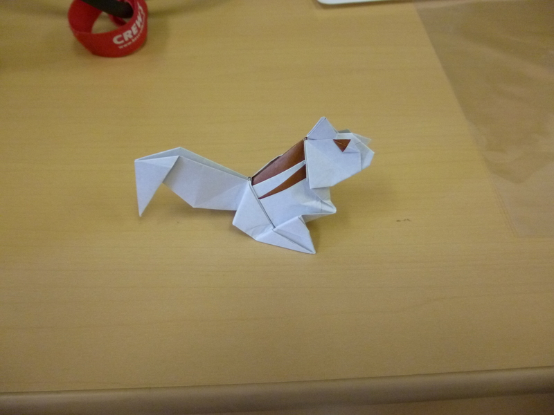 Petite bestiole perdue sur une table !
