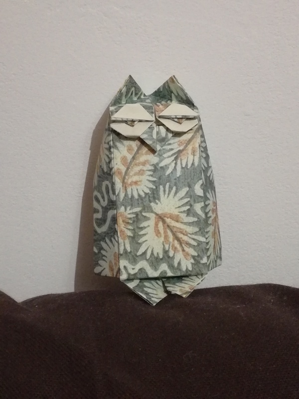 Visio-owl - Robin Glynn
