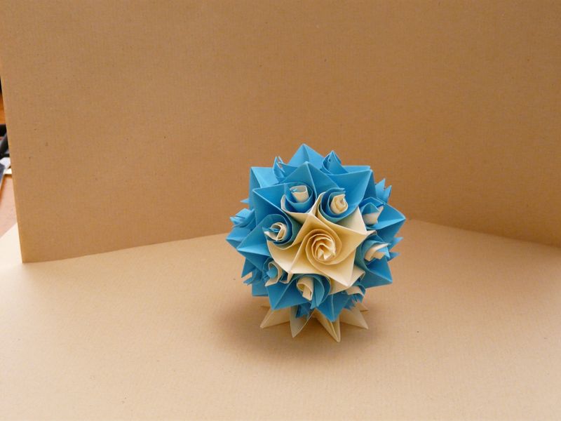 twirl en 24 modules
