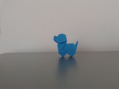 chien Edwin Corrie - challenge pliage 02/2018
