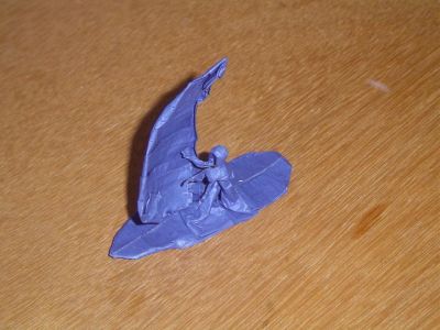 Planche à voile
