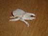DSC03460.JPG