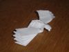 DSC03461.JPG