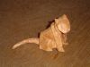 DSC03462.JPG