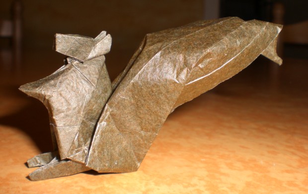 ecureuil 2
