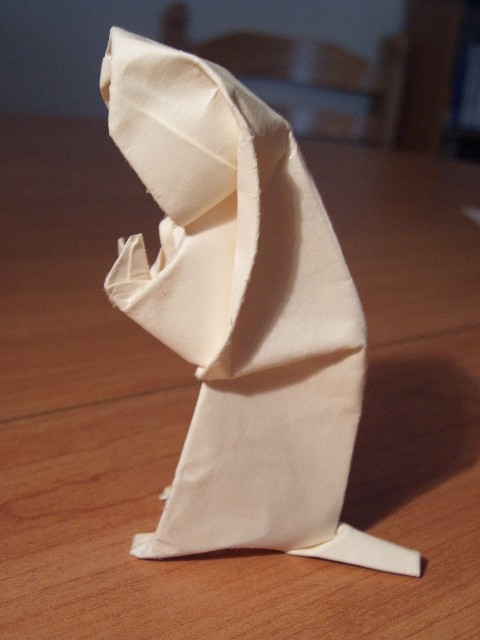 marmotte wet folding
