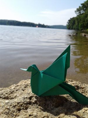 Colibri - Boudias
Challenge pliage juillet 2017.
