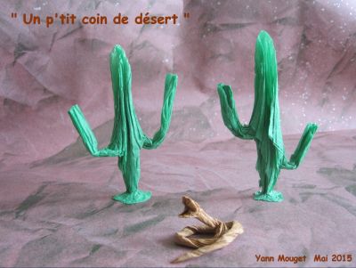 un p'tit coin de désert
