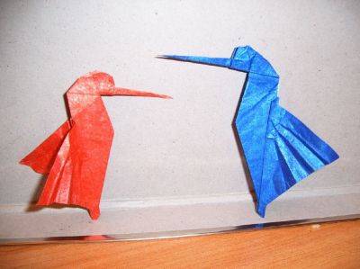colibri
