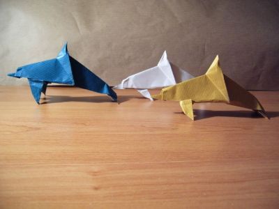 dauphins

