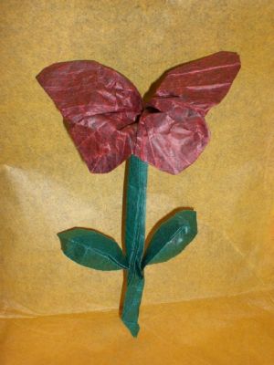 fleur-papillon
Challenge "haiku"
