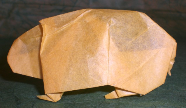 Cochon D'inde
