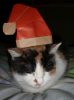 Nom du fichier=bonnet_de_noel1.JPG
Taille du fichier=90Ko
Dimensions : 767x1024
Ajouté le : 06 Mars 2008 bonnet_de_noel1.JPG