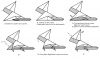 diag_moufette_(2).jpg