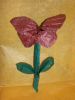 Nom du fichier=fleur-papillon.JPG
Taille du fichier=118Ko
Dimensions : 768x1024
Ajouté le : 06 Mars 2008 fleur-papillon.JPG