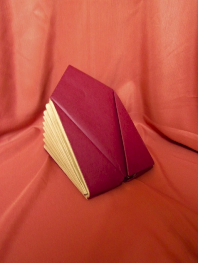 neorigami: soufflet à cheminée.

