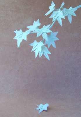 feuille d'érable
