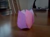 GWB_origami_rosecup.jpg
