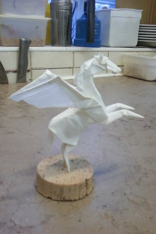 photo_28829.PNG