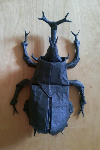 photo_28929.PNG