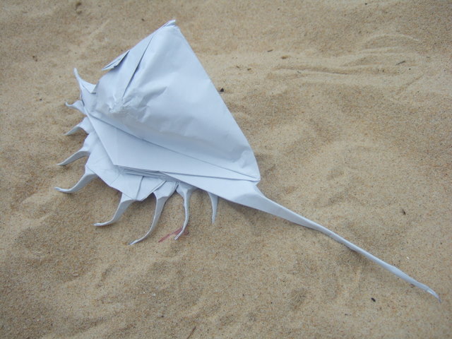 Murex - R.J. Lang
papier métallisé 45x45 cm.

Mots-clés: coquillage murex lang