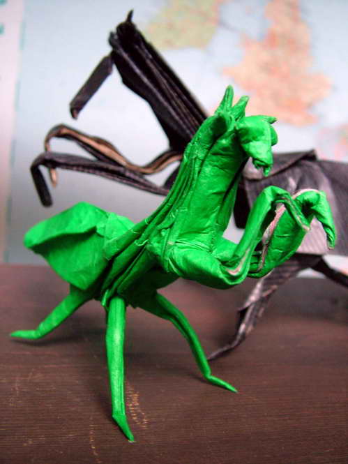 _MantisLANGDSCF6637.JPG