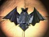 Nom du fichier=_myBAT02.jpg
Taille du fichier=43Ko
Dimensions : 591x457
Ajouté le : 28 Décembre 2008 _myBAT02.jpg