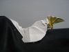Nom du fichier=IMG_2018.JPG
Taille du fichier=232Ko
Dimensions : 2048x1536
Ajouté le : 08 Novembre 2018 IMG_2018.JPG