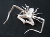 Nom du fichier=IMG_2048.JPG
Taille du fichier=575Ko
Dimensions : 2048x1536
Ajouté le : 08 Novembre 2018 IMG_2048.JPG