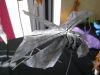 Nom du fichier=IMG_2059.JPG
Taille du fichier=332Ko
Dimensions : 2048x1536
Ajouté le : 08 Novembre 2018 IMG_2059.JPG
