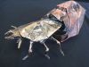 Nom du fichier=IMG_2087.JPG
Taille du fichier=403Ko
Dimensions : 2048x1536
Ajouté le : 08 Novembre 2018 IMG_2087.JPG