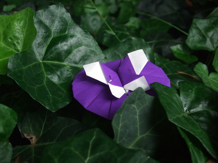 Papillon
Papillon de Tomoko Fuse. Lâché dans le lierre, sous un magnolia parc du Thabor à Rennes.
