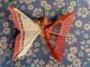 Nom du fichier=KDEUuro_papillon_8.jpg
Taille du fichier=391Ko
Dimensions : 2048x1541
Ajouté le : 28 Juin 2016 KDEUuro_papillon_8.jpg