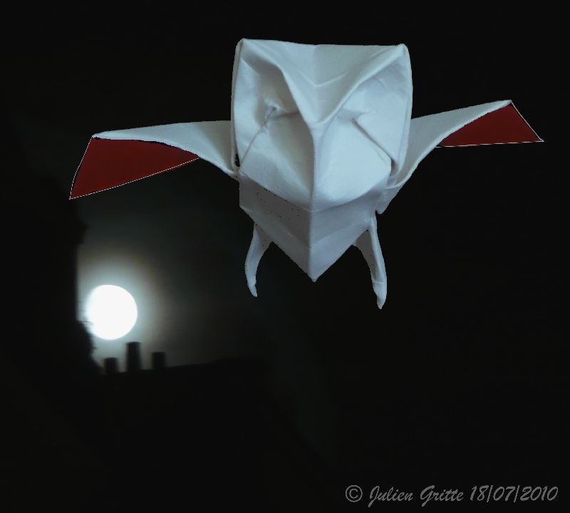 Nightowl de Davor Vinko
dsl pour la photo kitch!
