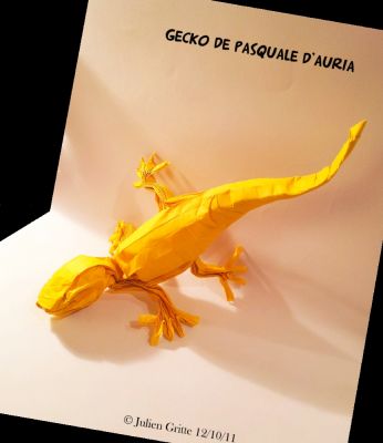 gecko pasquale d'auria
origamido 39.5x39.5cm
