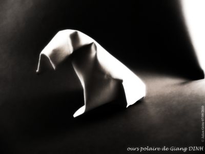 ours polaire de Giang DINH
