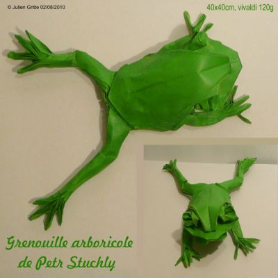 Grenouille arboricole de Petr Stuchly  
vivaldi 120g 40x40cm. Une couche de vernis
