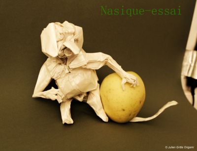 nasique essai
papier soie metalisé origami shop 50x50cm
